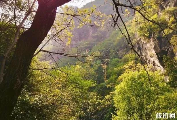 云岫谷风景区游玩攻略