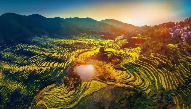 篁岭油菜花开了吗 2021婺源篁岭花朝节时间及活动详情 篁岭油菜花开了吗 2021婺源篁岭花朝节时间及活动详情