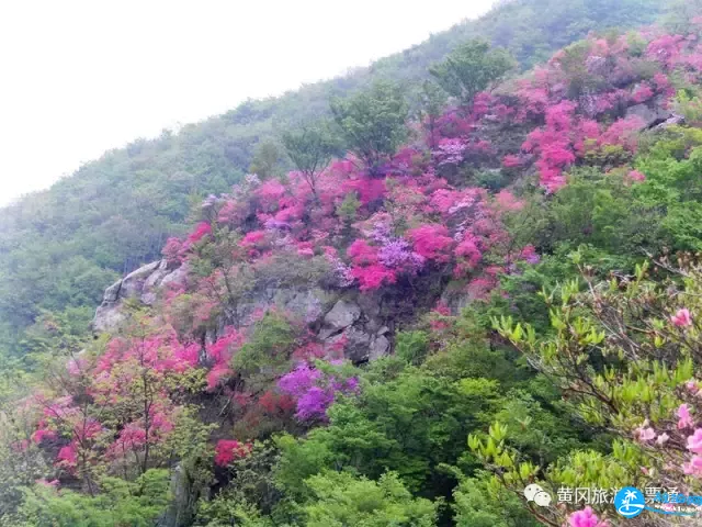黄冈旅游年卡2018 黄冈旅游一票通景点大全+价格+地址 黄冈旅游年卡2018 黄冈旅游一票通景点大全+价格+地址