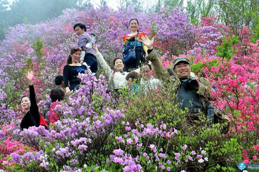 黄冈旅游年卡2018 黄冈旅游一票通景点大全+价格+地址 黄冈旅游年卡2018 黄冈旅游一票通景点大全+价格+地址