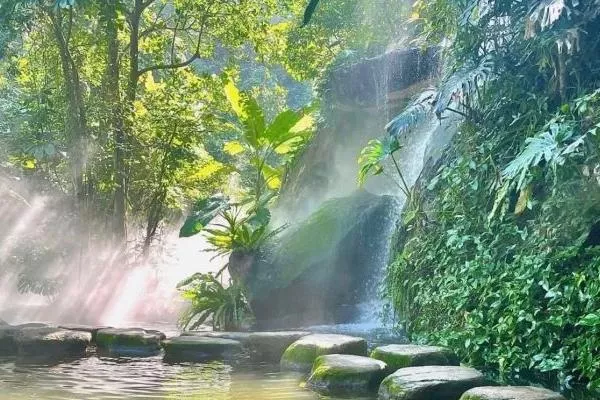 厦门万石植物园门票多少钱