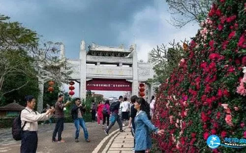 2018深圳梧桐山毛棉杜鹃花会交通攻略 2018深圳梧桐山毛棉杜鹃花会交通攻略