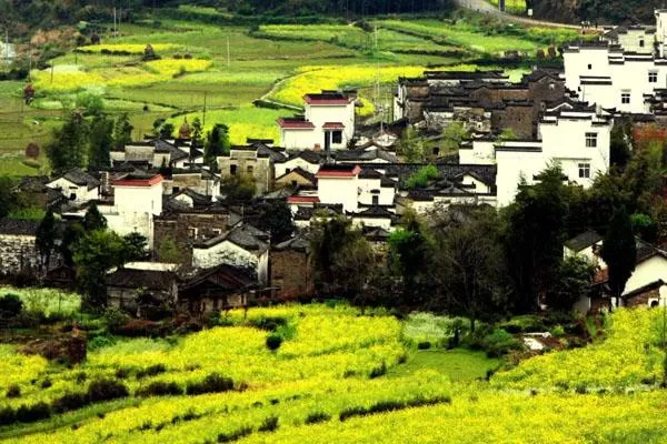 2022婺源篁岭景区门票多少
