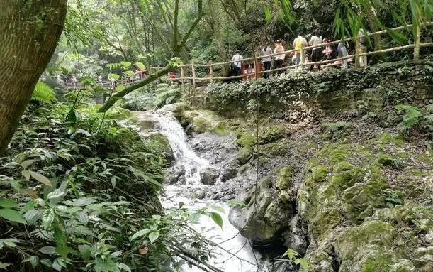 重庆黑山谷旅游攻略 重庆黑山谷旅游攻略
