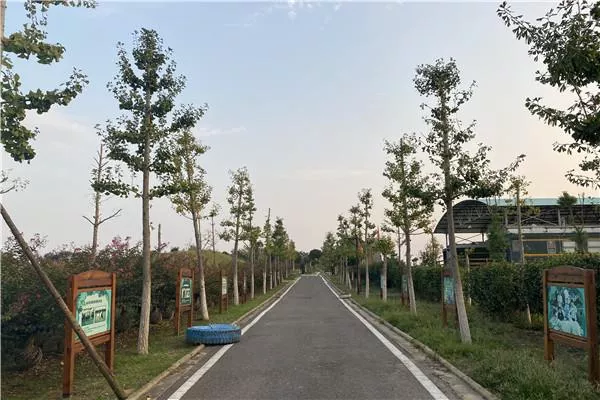 紫薇都市田园霍比特人村在哪 武汉紫薇都市田园好玩吗 紫薇都市田园霍比特人村在哪 武汉紫薇都市田园好玩吗