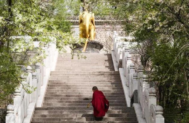 西宁塔尔寺游玩攻略 西宁塔尔寺旅游攻略 西宁塔尔寺游玩攻略 西宁塔尔寺旅游攻略