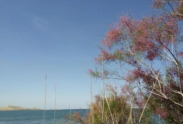 库尔勒旅游详细攻略 库尔勒旅游详细攻略