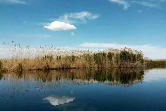 库尔勒旅游详细攻略 库尔勒旅游详细攻略