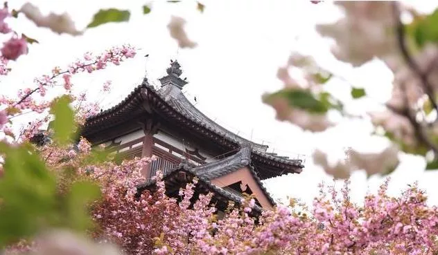 西安旅游去哪些景点玩好 西安旅游景点推荐 西安旅游去哪些景点玩好 西安旅游景点推荐