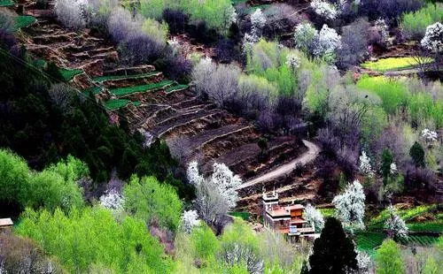 甲居藏寨旅游景点介绍