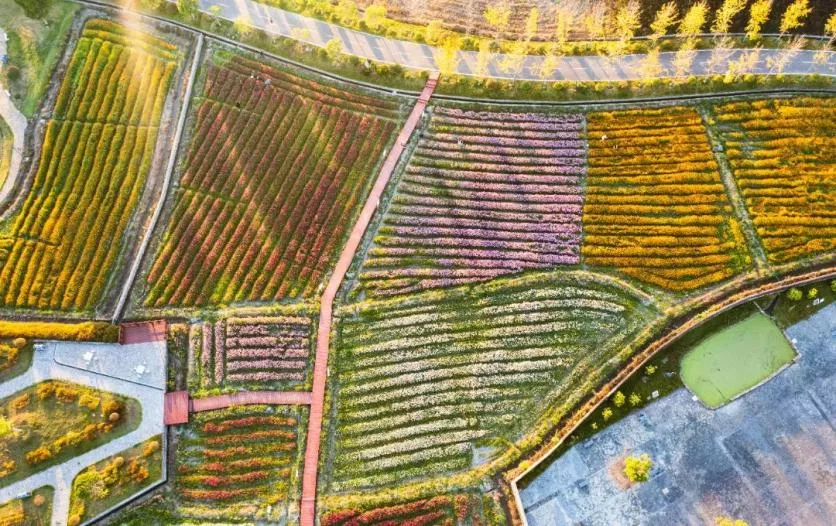 2022年秋季三百山自驾游攻略 在最美彩虹公路上邂逅绝色秋景 2022年秋季三百山自驾游攻略 在最美彩虹公路上邂逅绝色秋景