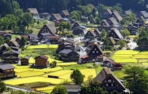 日本旅游必备日语