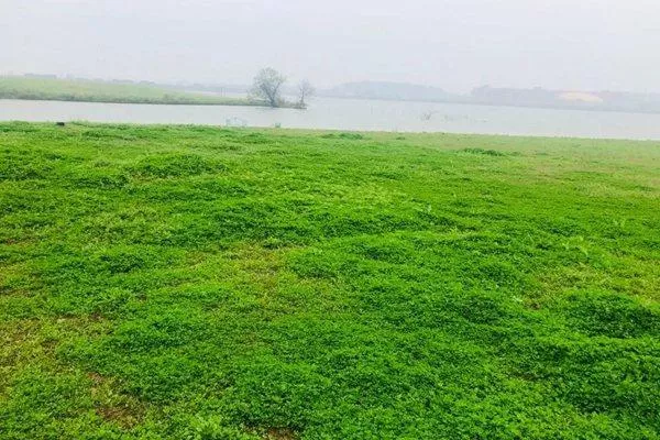 武汉江夏哪里有小众露营地?江夏靶飞场、王金益附近这个地方强烈推荐