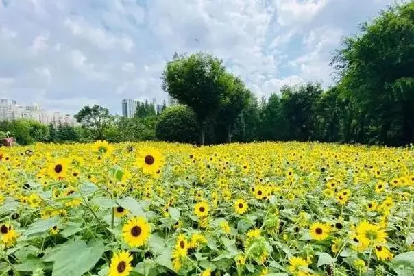 上海夏天去哪里玩最好