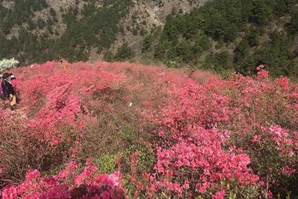 黄陂云雾山好玩吗?武汉木兰云雾山好玩吗?