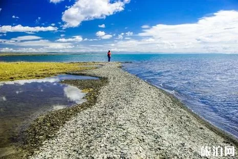 跟团旅游好还是自己旅游好