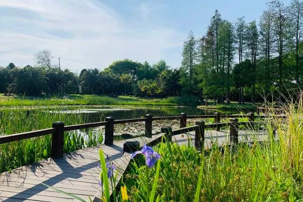 上海植物园一日游攻略2022
