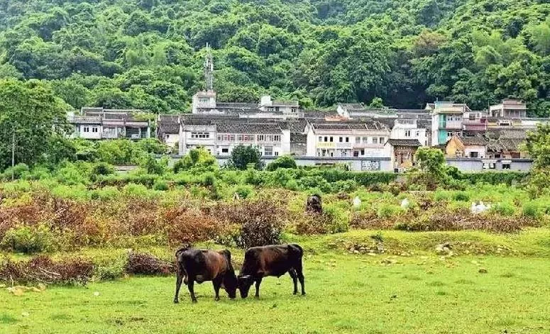 香港岛屿哪个好玩 香港岛屿旅游推荐