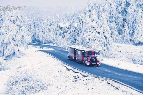 重庆看雪景去哪里比较好 重庆看雪景最佳地点