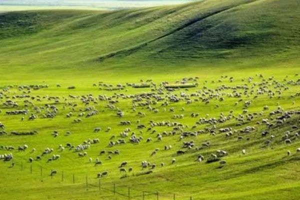 内蒙古旅游攻略必去景点