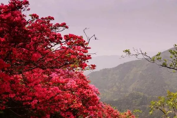 木兰云雾山风景区要玩多久?游玩时间介绍