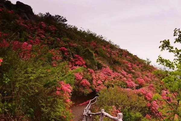 木兰云雾山风景区要玩多久?游玩时间介绍