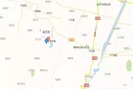 陕西周至桑葚采摘节5月27日开启 附采摘地信息 陕西周至桑葚采摘节5月27日开启 附采摘地信息