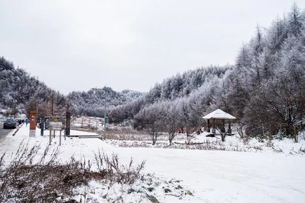 重庆毛草坝滑雪场在哪里 重庆茅草坝滑雪场怎么去