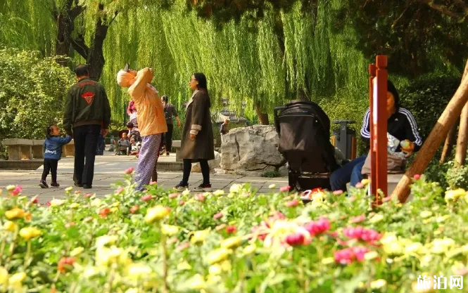 2019趵突泉菊花展什么时候 趵突泉门票多少钱一张