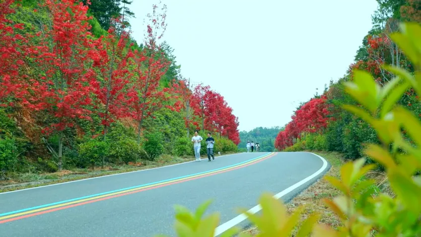 2022年秋季三百山自驾游攻略 在最美彩虹公路上邂逅绝色秋景 2022年秋季三百山自驾游攻略 在最美彩虹公路上邂逅绝色秋景