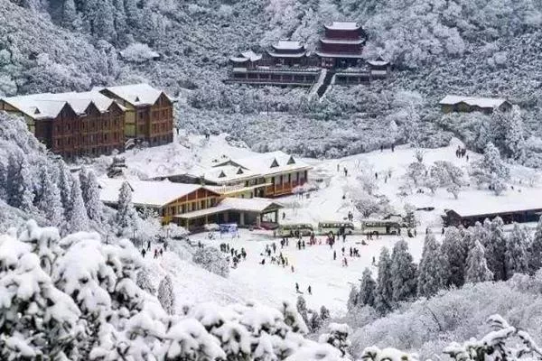 重庆看雪景去哪里比较好 重庆看雪景最佳地点