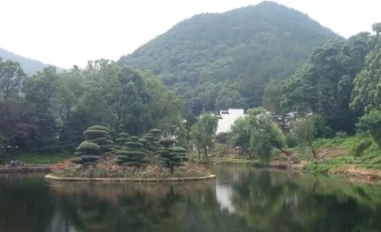 武汉有哪些5a旅游景区 武汉有哪些5a旅游景区