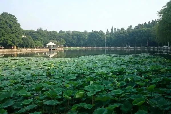 武汉东湖听涛景区有什么好玩的?应该怎么玩?