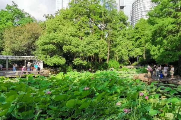 上海夏天去哪里玩最好