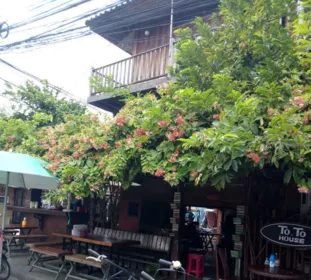 泰国旅游最好的地方是哪里 泰国旅游最好的地方是哪里