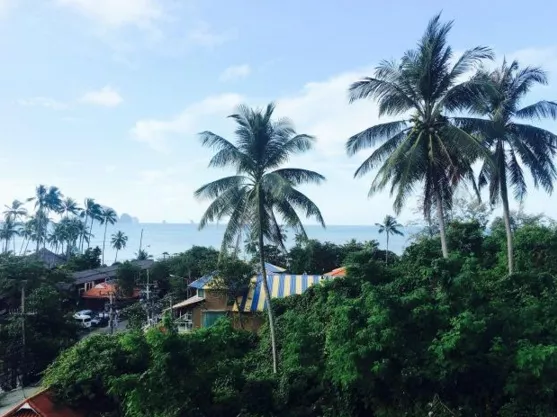 泰国有哪些好玩的地方 泰国旅游住宿攻略 泰国有哪些好玩的地方 泰国旅游住宿攻略