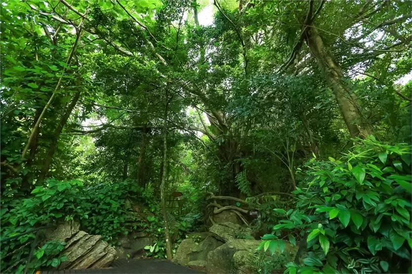 三亚呀诺达旅游景点介绍 三亚呀诺达旅游景点介绍