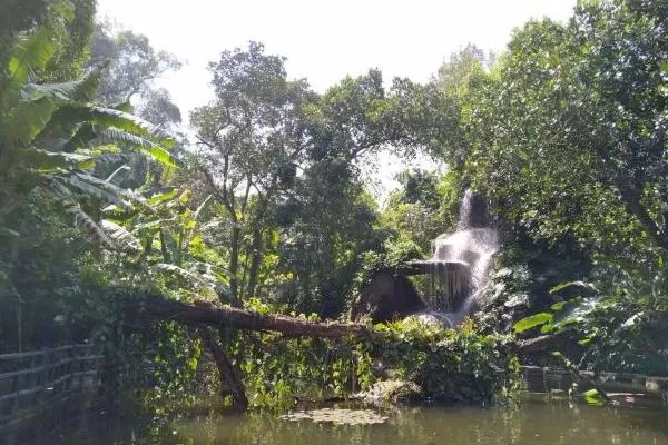 夏季厦门避暑旅游景点推荐