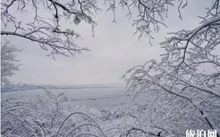 杭州下雪了吗2018年12月 断桥残雪在哪里+好玩吗+怎么去