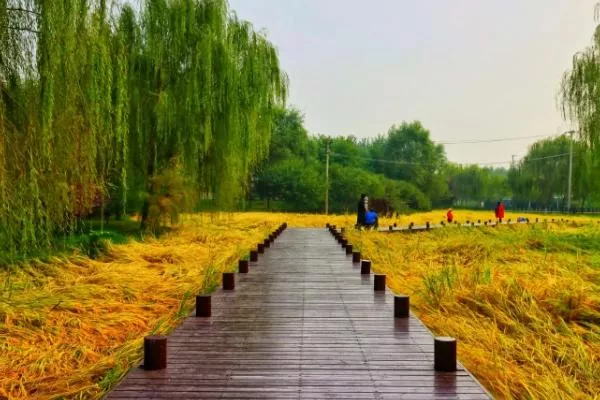 北京郊野公园秋景最好的地方有哪些