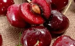 2018汶川甜樱桃采摘节有什么活动