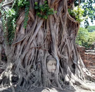 泰国旅游最好的地方是哪里 泰国旅游最好的地方是哪里