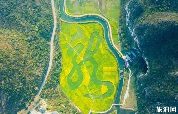 2022平坝樱花开了吗 平坝樱花什么时候开放 2022平坝樱花开了吗 平坝樱花什么时候开放