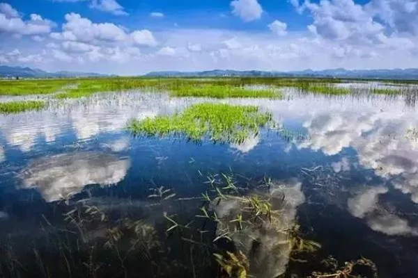 威宁草海最佳旅游时间是什么时候