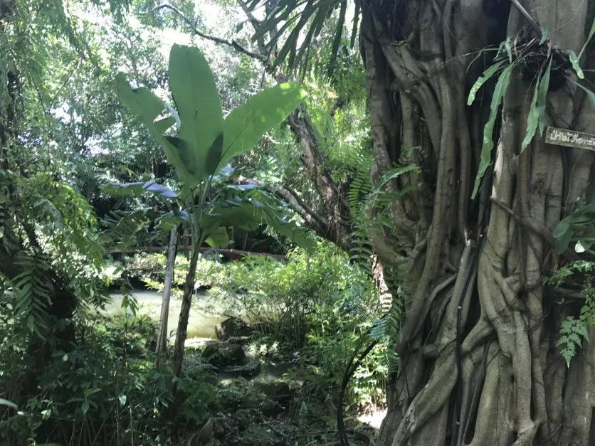 泰国曼谷、沙美岛、芭提雅旅游景点图片 泰国曼谷、沙美岛、芭提雅旅游景点图片