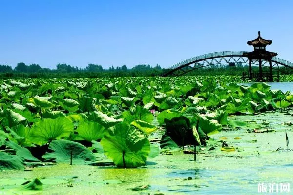 河北适合端午节旅游的景点推荐 河北适合端午节旅游的景点推荐