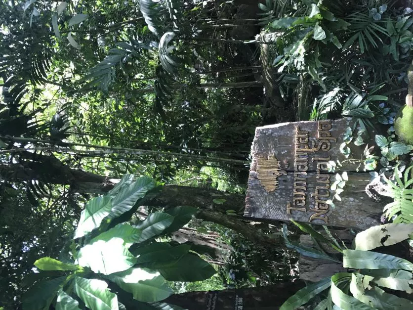 泰国曼谷、沙美岛、芭提雅旅游景点图片 泰国曼谷、沙美岛、芭提雅旅游景点图片