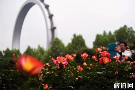 2019五一常州赏花的地方 花节+赏花活动
