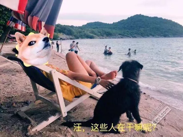 泰国有哪些好吃的美食和特产 泰国有哪些好吃的美食和特产