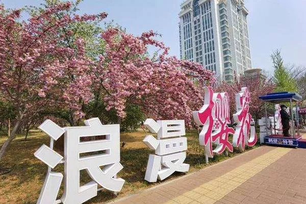 鹤壁樱花节是什么时候2022年